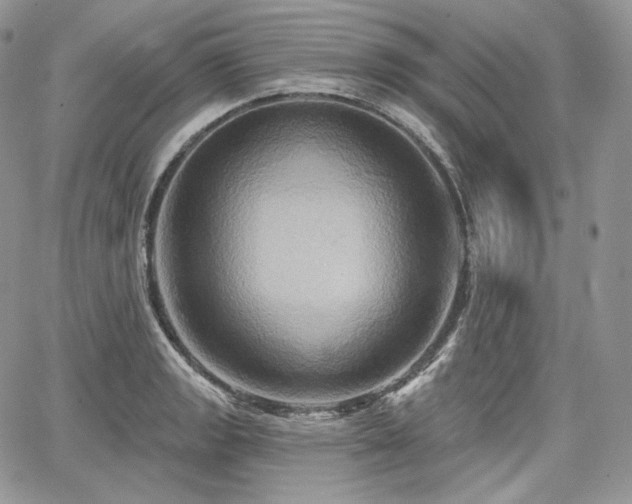 X0000068321133200604241332