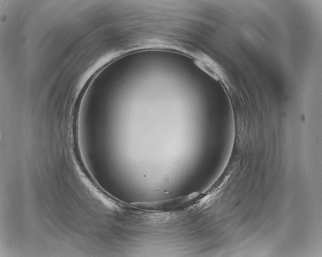 X0000068321142200604241332