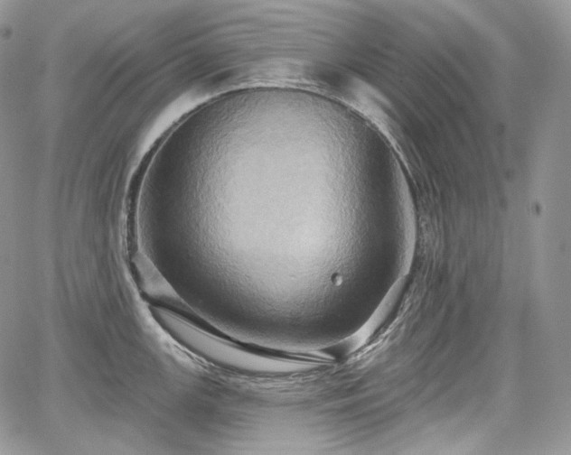 X0000068321147200604241332