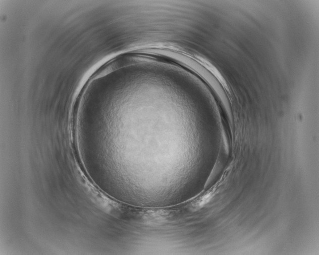 X0000068321148200604241332
