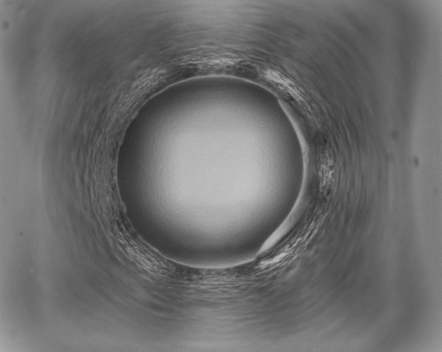 X0000068321153200604241331
