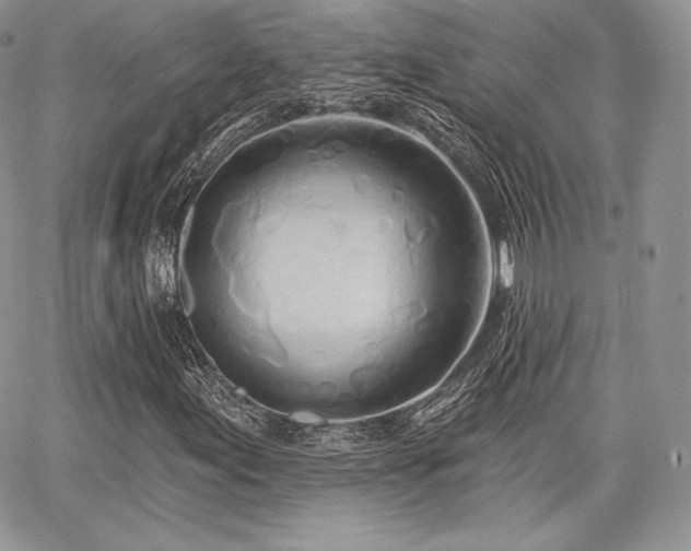 X0000068321155200604241331