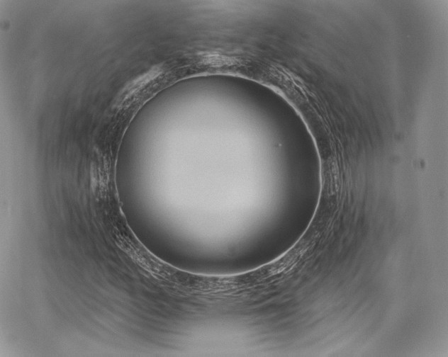 X0000068321158200604241331