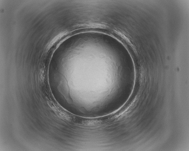 X0000068321163200604241331