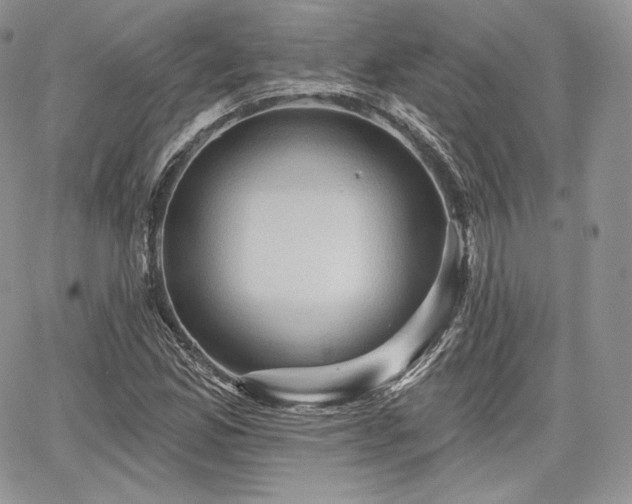 X0000068321165200604241331