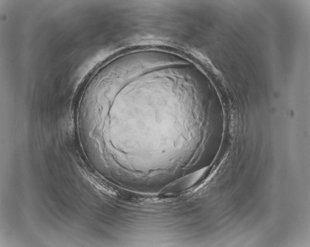 X0000068321167200604241331
