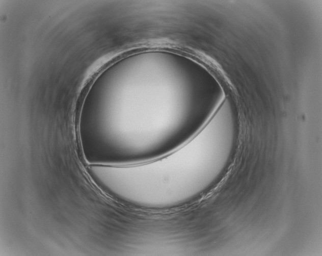 X0000068321176200604241331