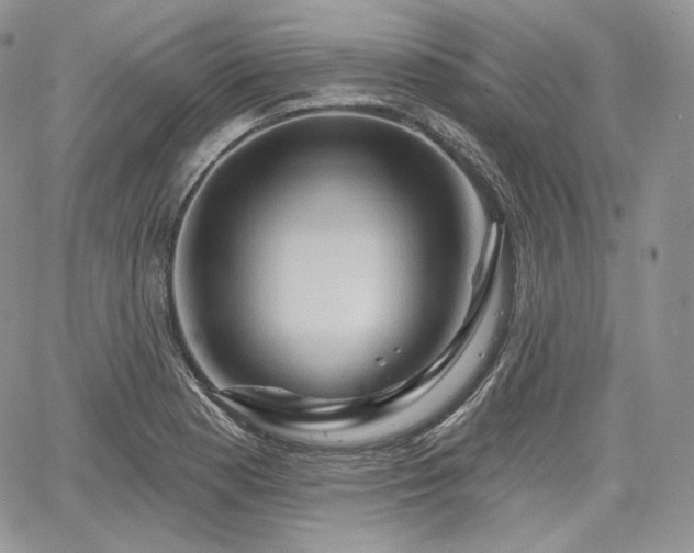X0000068321177200604241331