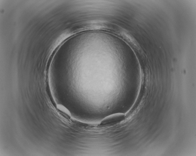 X0000068321178200604241331