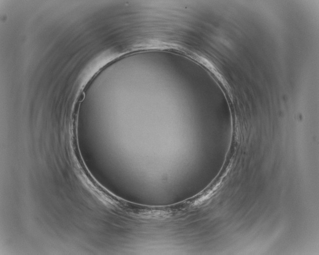 X0000068321187200604241331