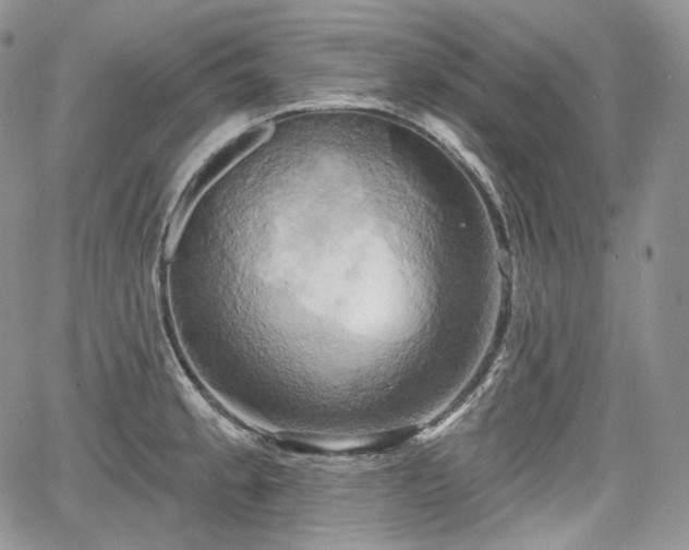X0000068321189200604241330