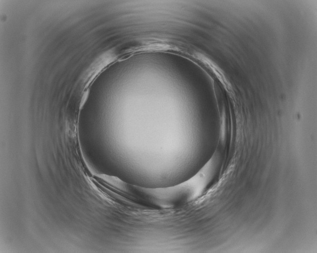 X0000068321193200604241330