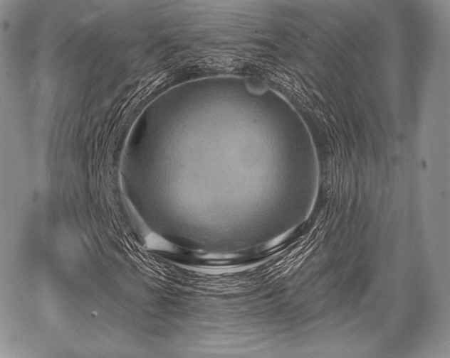 X0000068321201200604241330