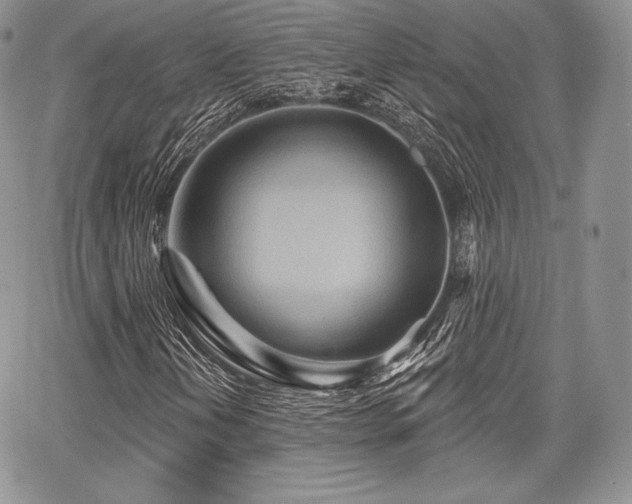 X0000068321202200604241330