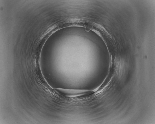 X0000068321209200604241330