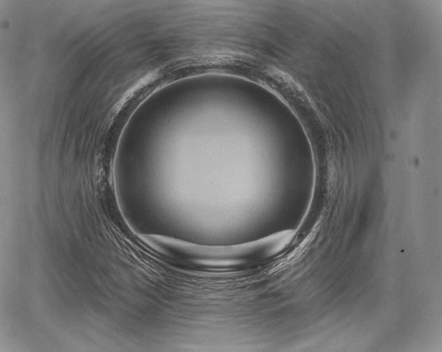 X0000068321210200604241330