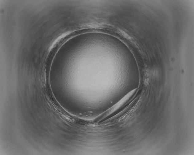 X0000068321214200604241330