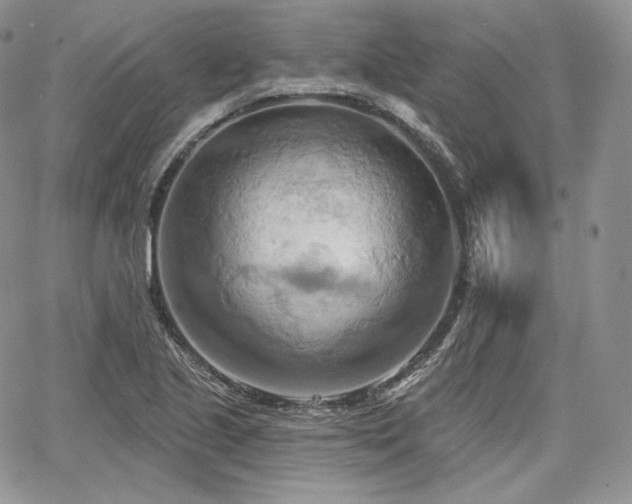 X0000068321221200604241330