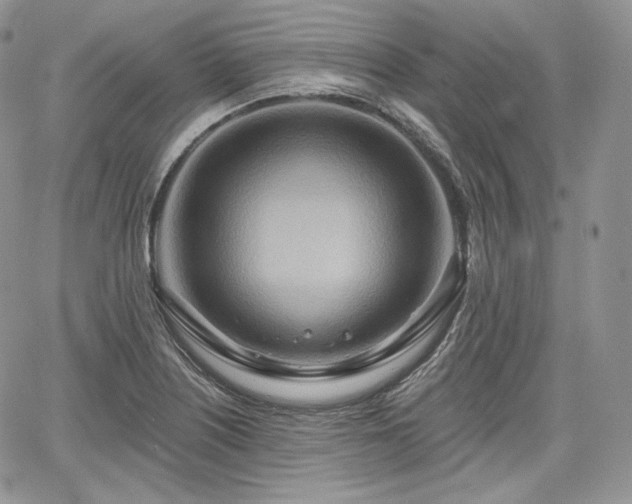 X0000068321226200604241330