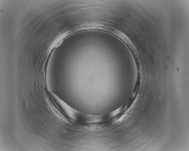 X0000068321242200604241330