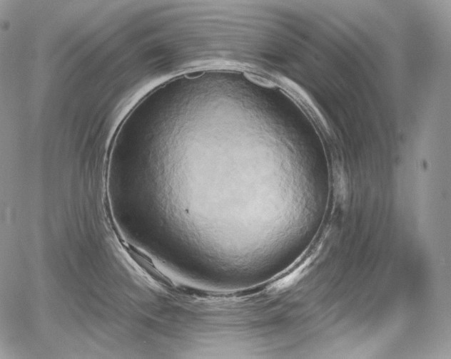 X0000068321244200604241330