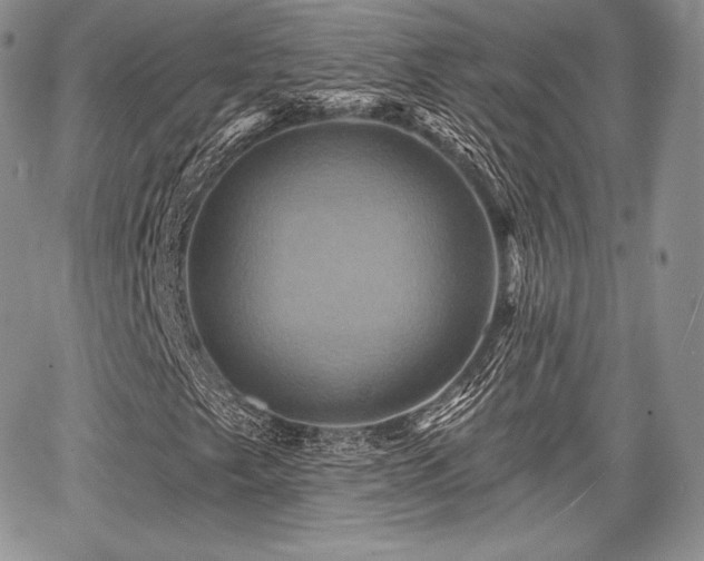 X0000068321249200604241330