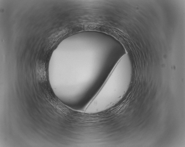 X0000068321252200604241329