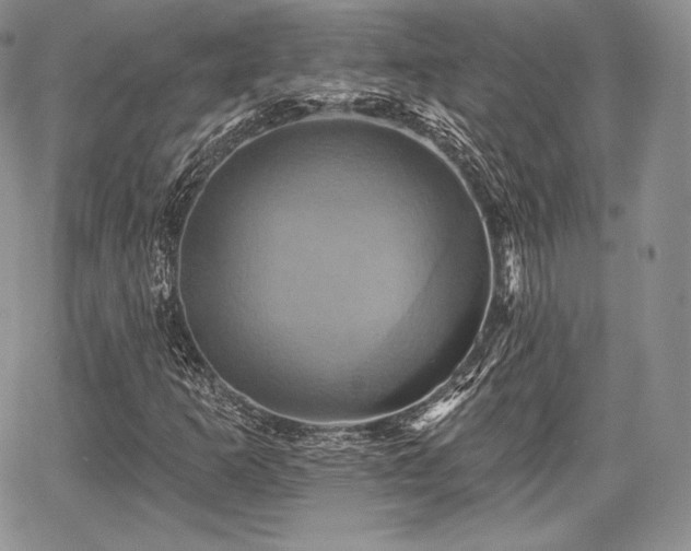 X0000068321253200604241329