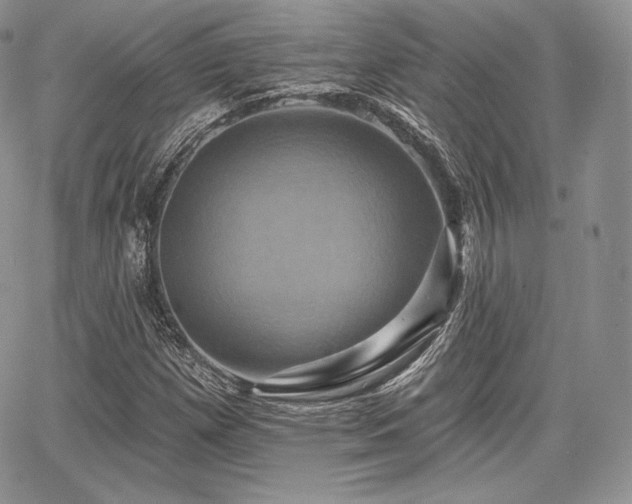 X0000068321257200604241329