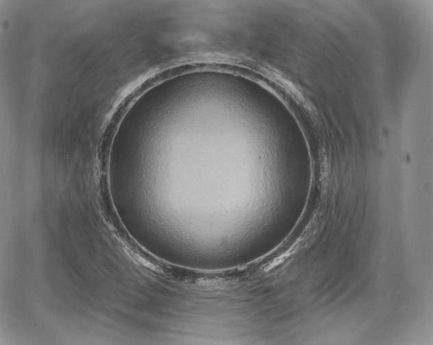X0000068321264200604241329