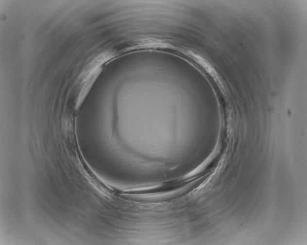 X0000068321281200604241329