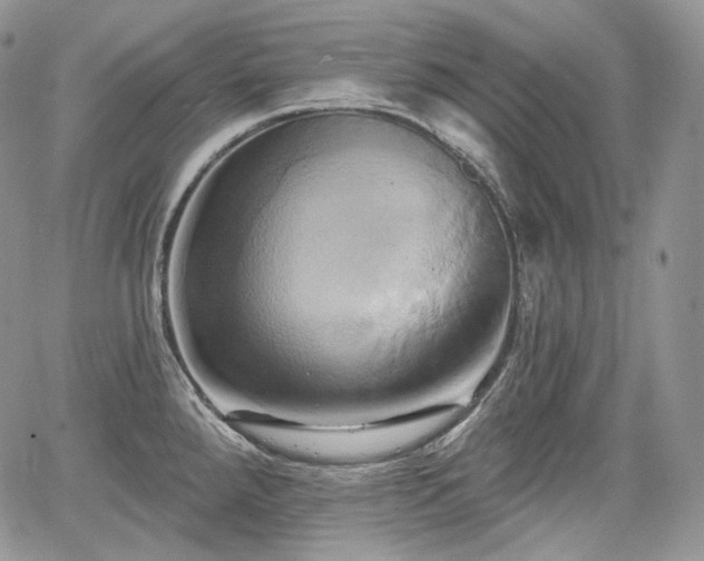 X0000068321288200604241329