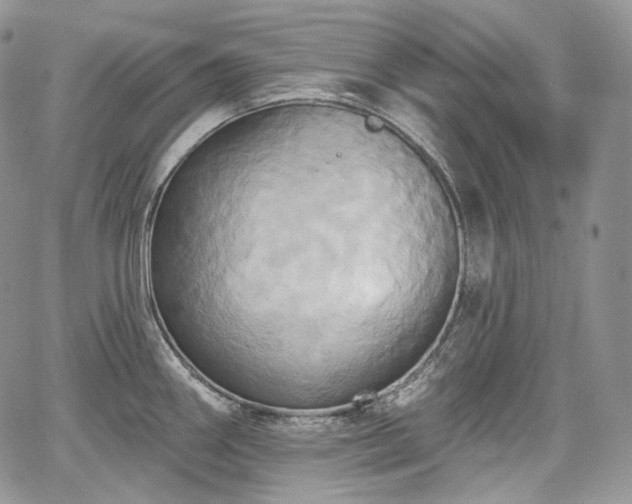 X0000068321290200604241329