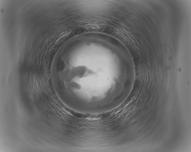 X0000068321297200604241328