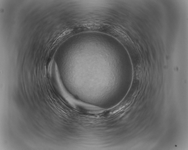X0000068321298200604241328