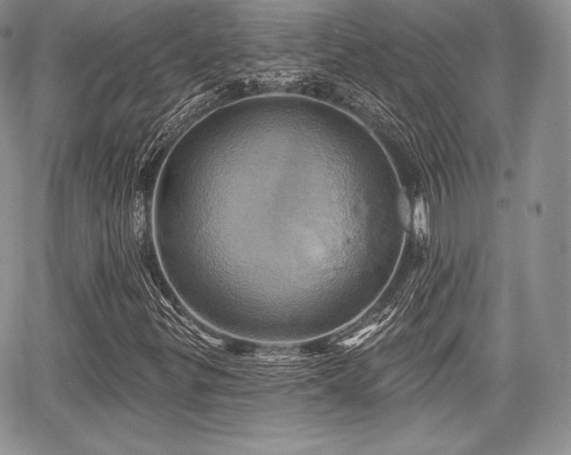 X0000068321299200604241328