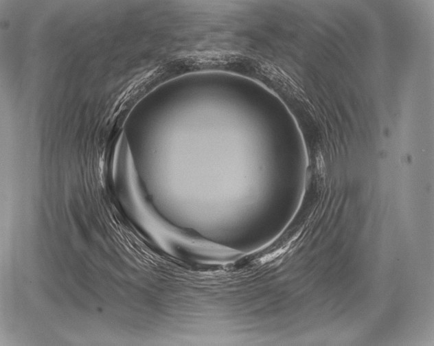 X0000068321300200604241328