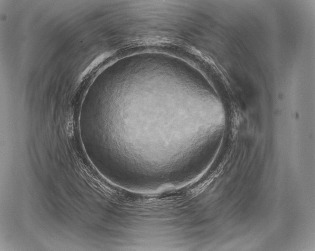 X0000068321306200604241328
