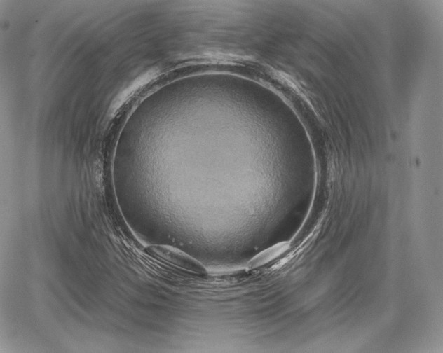 X0000068321307200604241328