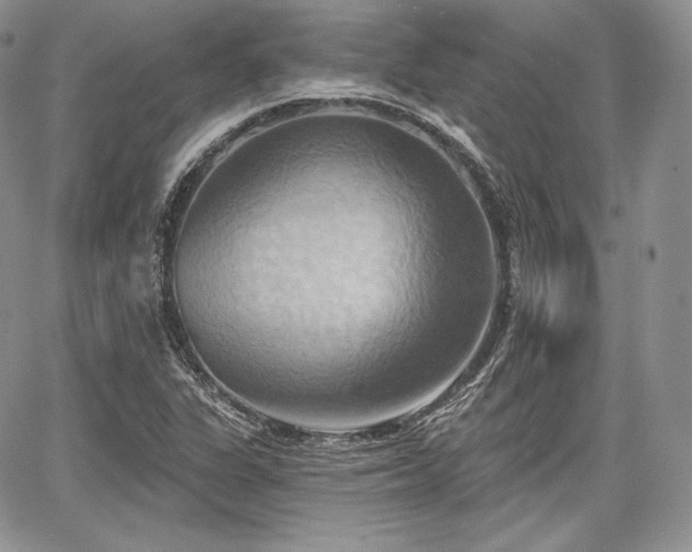 X0000068321311200604241328