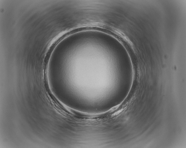 X0000068321316200604241328