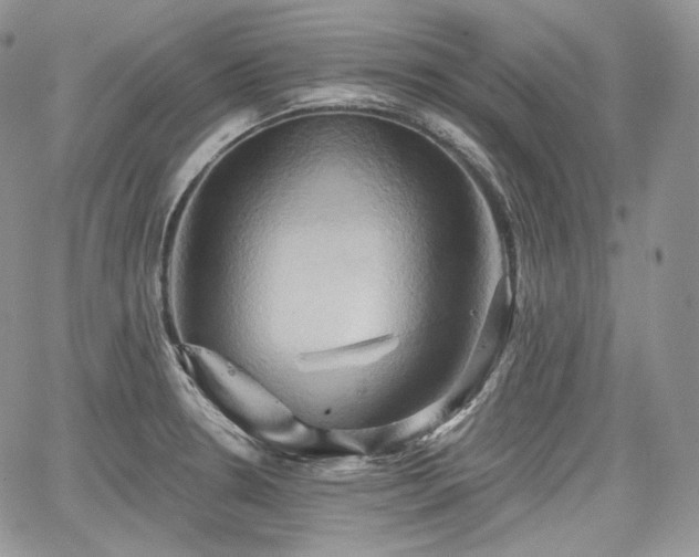 X0000068321330200604241328