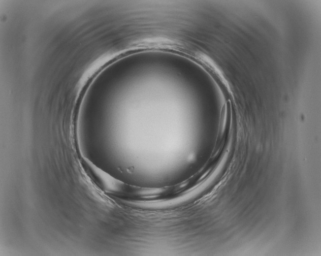 X0000068321336200604241329
