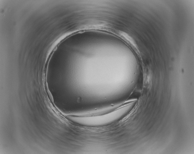 X0000068321340200604241329