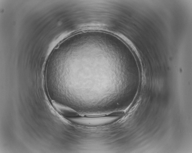 X0000068321341200604241329