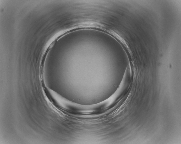 X0000068321342200604241329