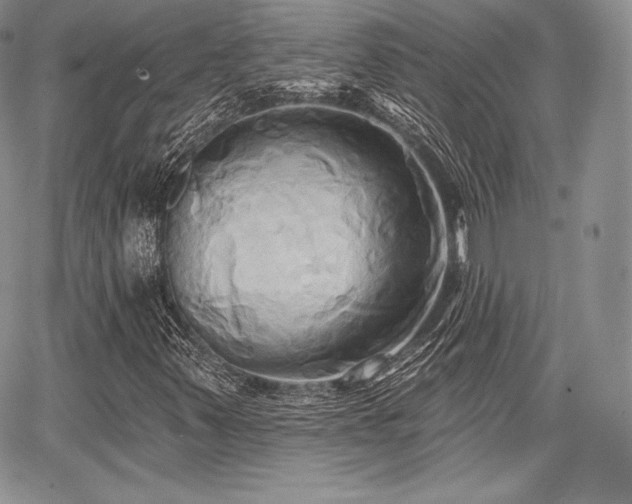 X0000068321347200604241328