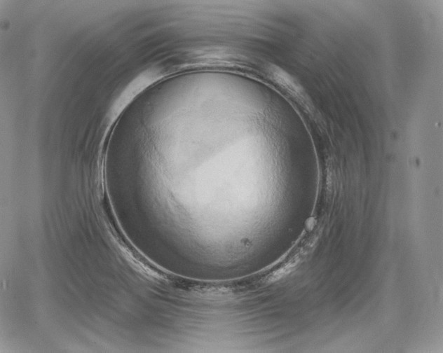X0000068321370200604241327
