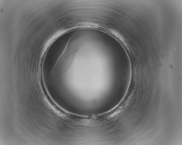X0000068321379200604241327