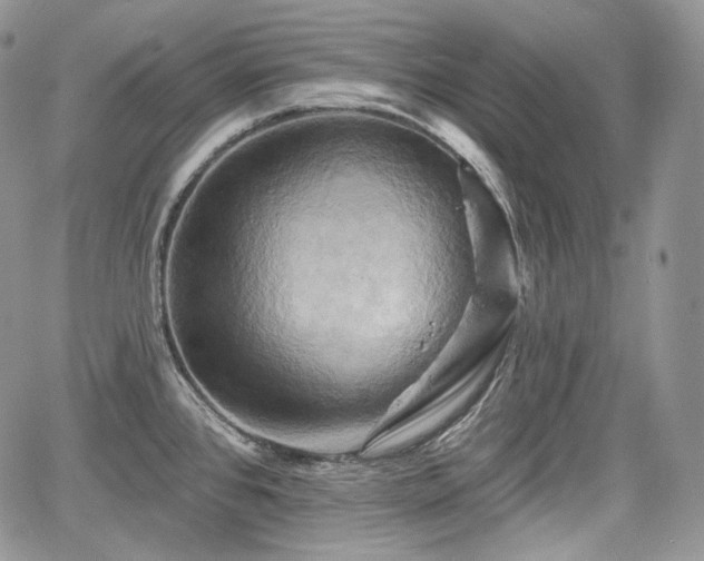 X0000068321384200604241327